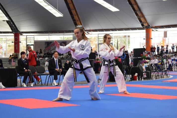 Asociación Taekwon-Do Integral Sur